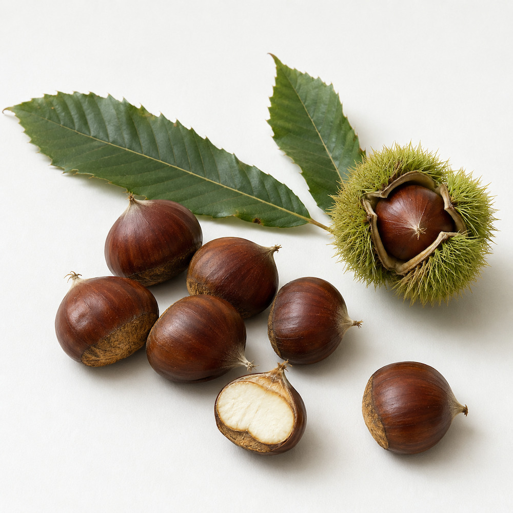 Castagne di Sicilia dal guscio lucido, una aperta mostra la polpa bianca, accanto un riccio verde e due foglie