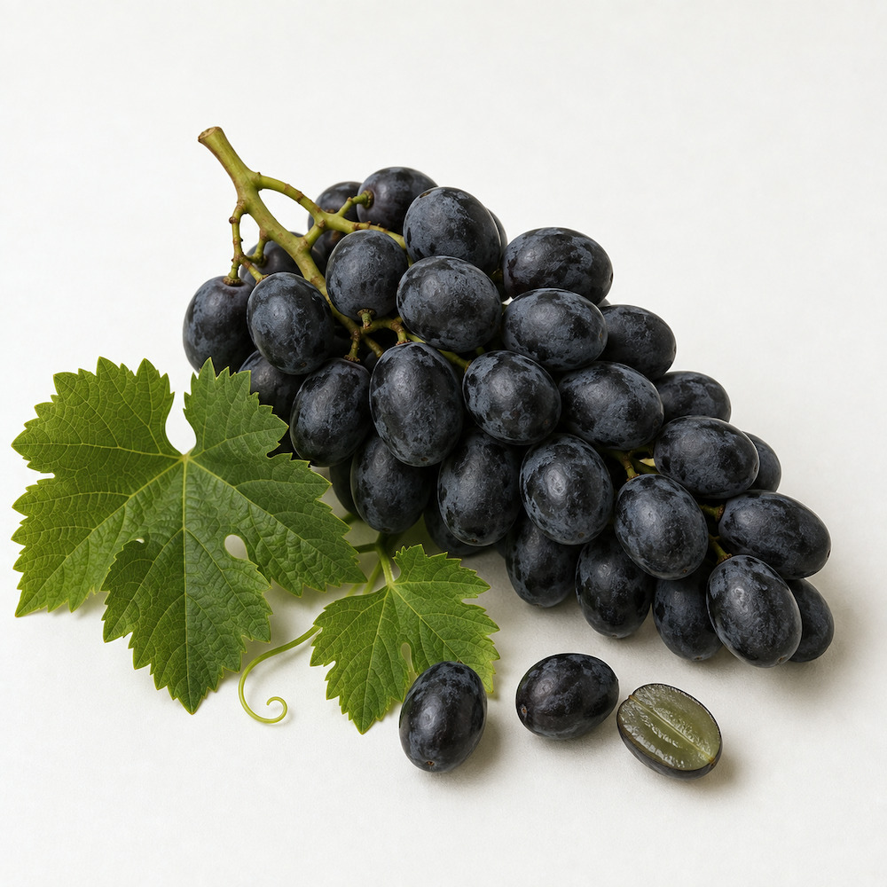 Grappolo di uva Black Magic dagli acini neri e ovali, accanto acini staccati e uno tagliato, con foglie di vite