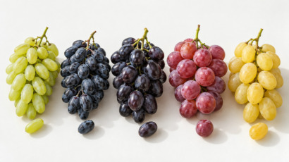 Cinque grappoli di uva da tavola in fila: Vittoria, Black Magic, Palieri, Red Globe e Italia