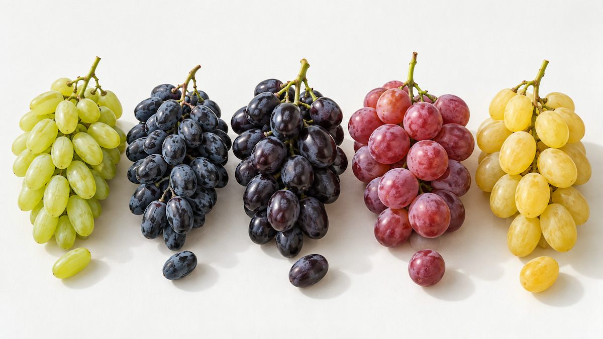Cinque grappoli di uva da tavola in fila: Vittoria, Black Magic, Palieri, Red Globe e Italia